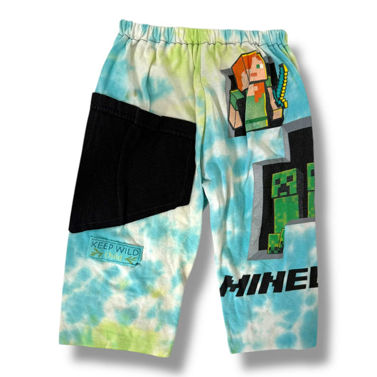 Minecraft Maniac