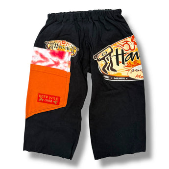 Hawaii Aloha