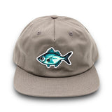Āholehole Strapback