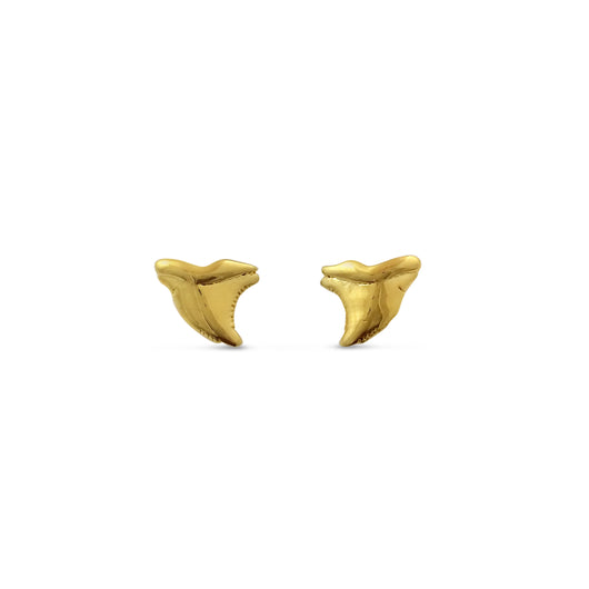 Shark Tooth Earrings Vermeil